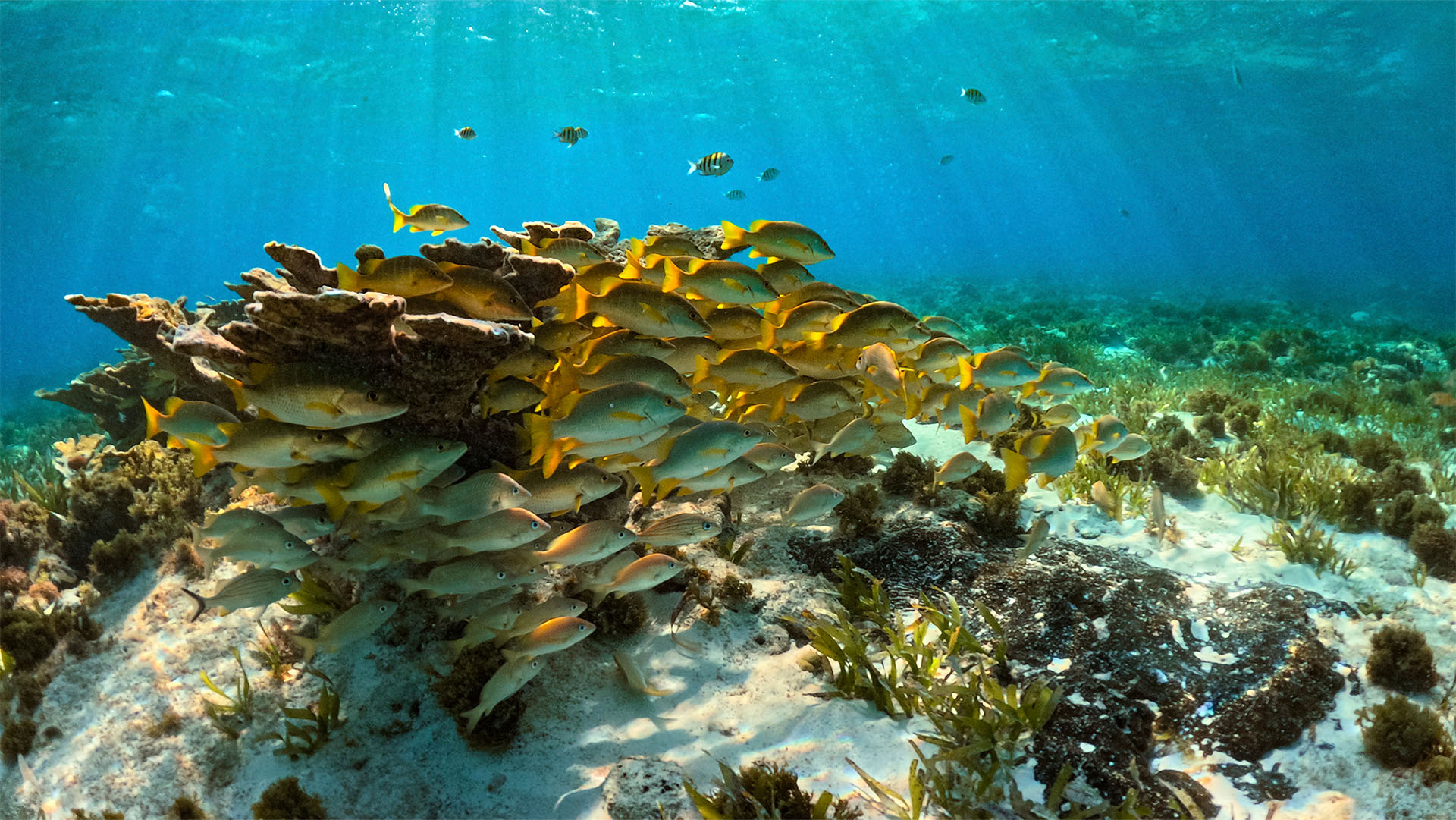 Cancún Premium Yacht Experience - Image 8