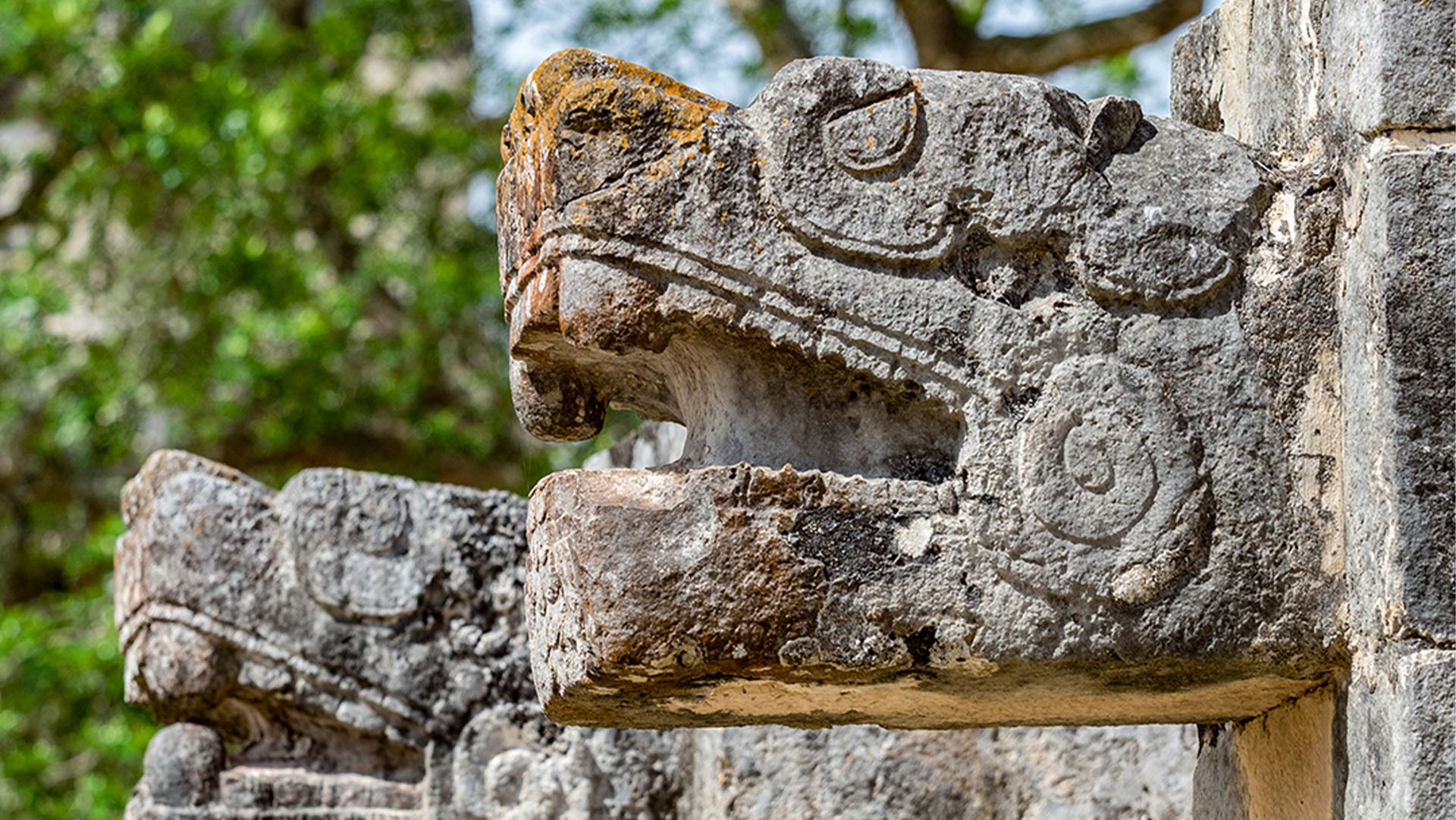 Chichen Itzá Express - Image 6