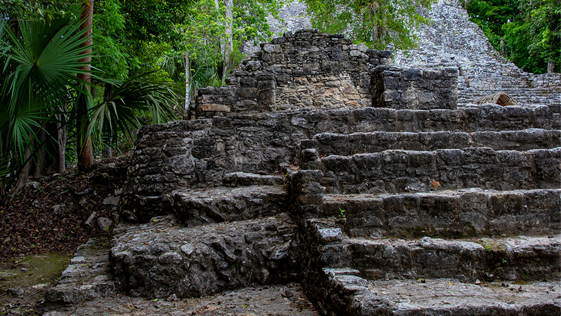 Cobá & Mayan Cenote - Image 9