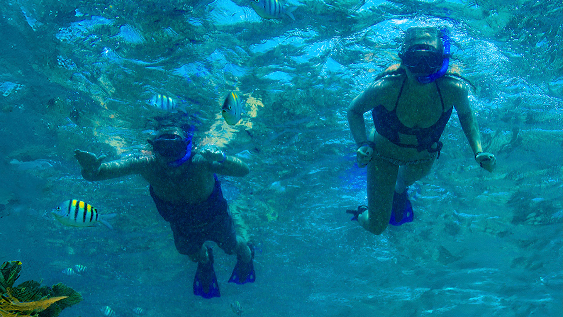 Cozumel Luxury Sailing - Image 19