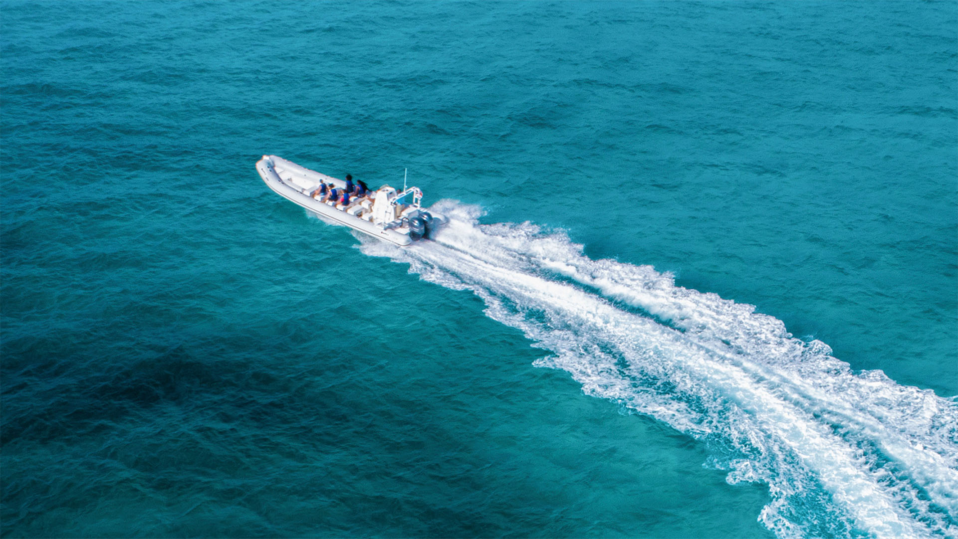 Cozumel Sea Safari - Image 3