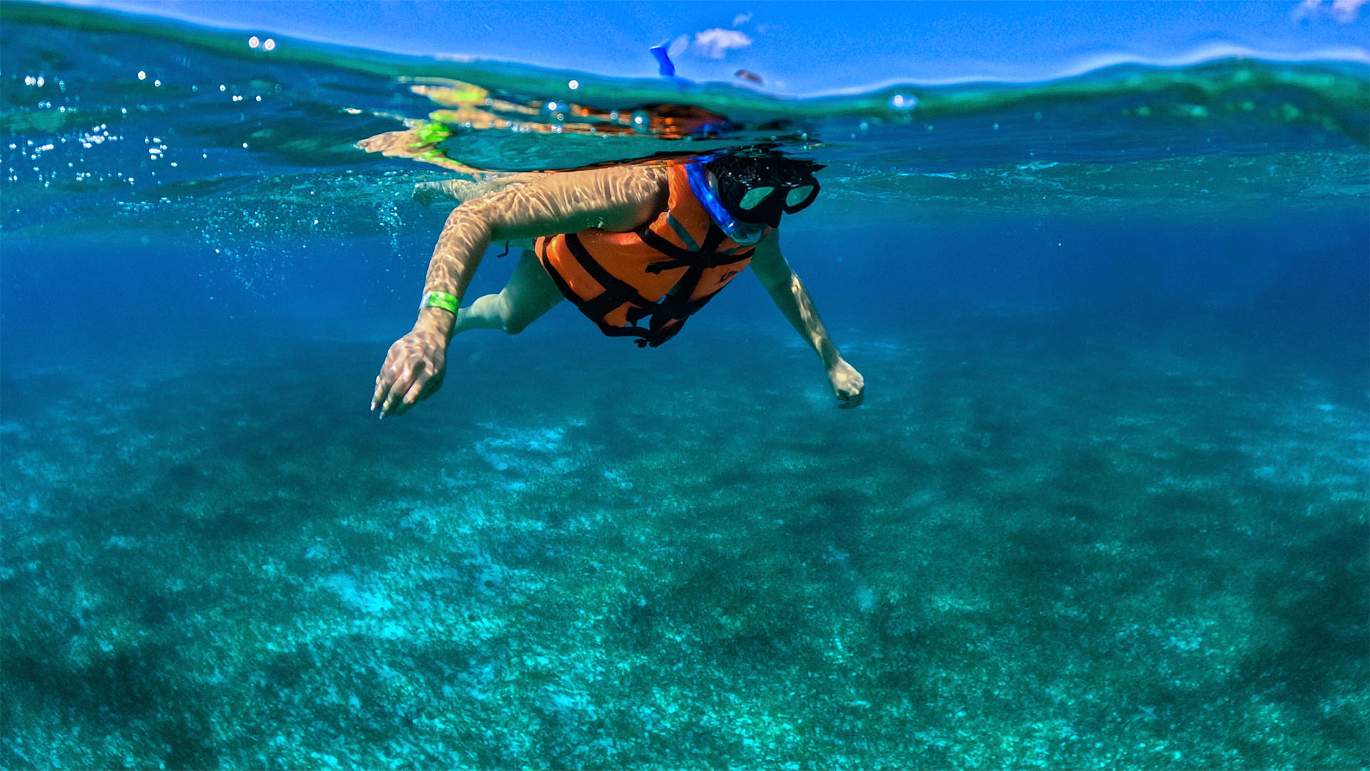 Cozumel Sea Safari - Image 19