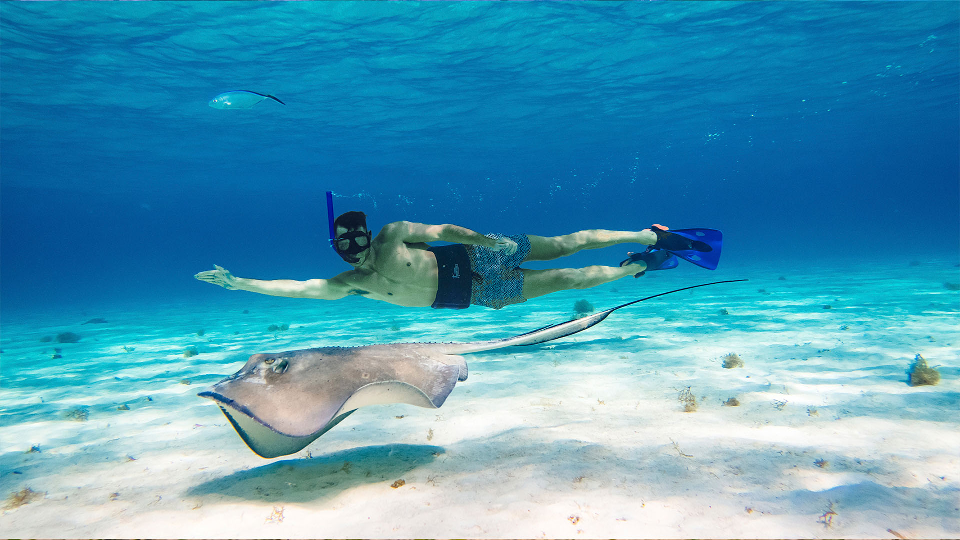 Cozumel Sea Safari - Image 27