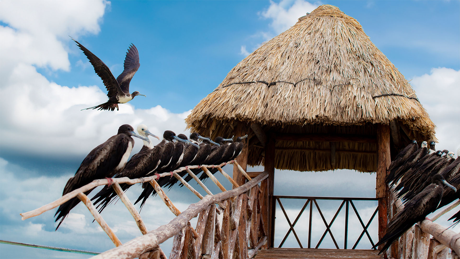 Holbox Island Adventure - Image 9