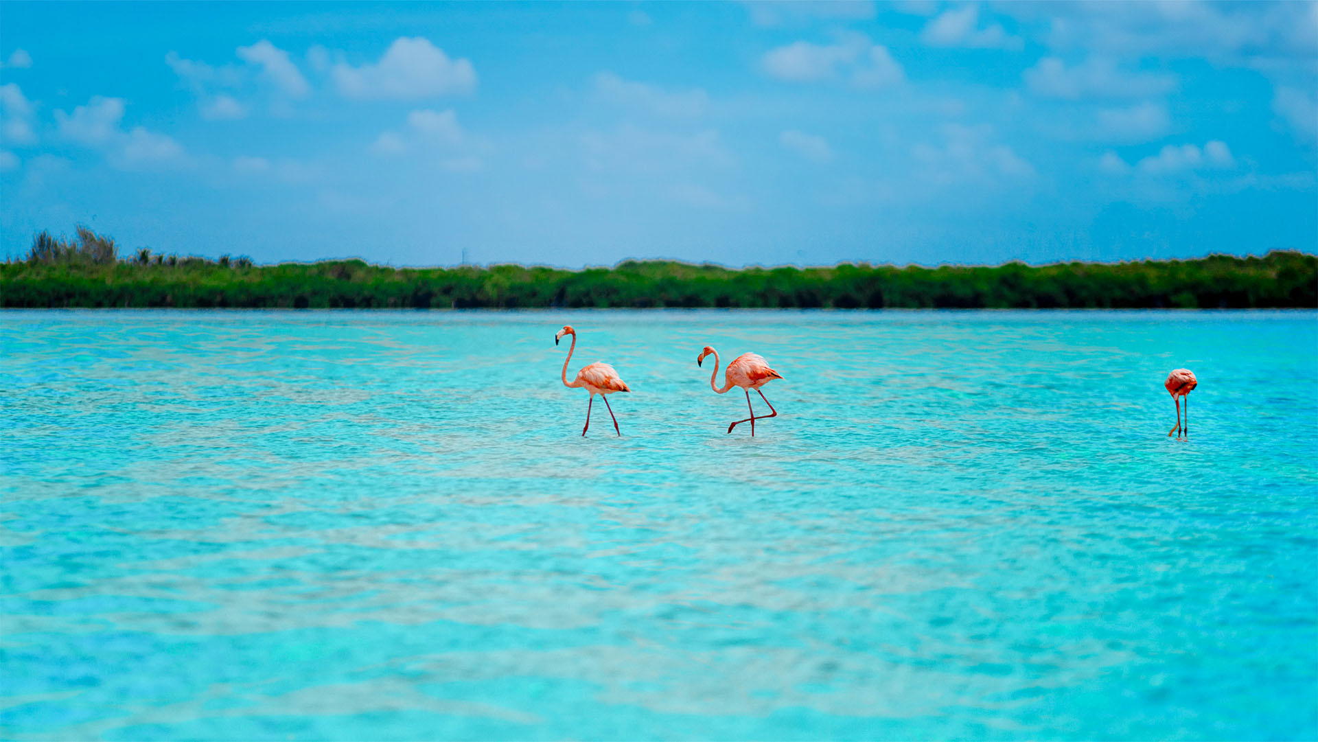 Holbox Island Adventure - Image 12
