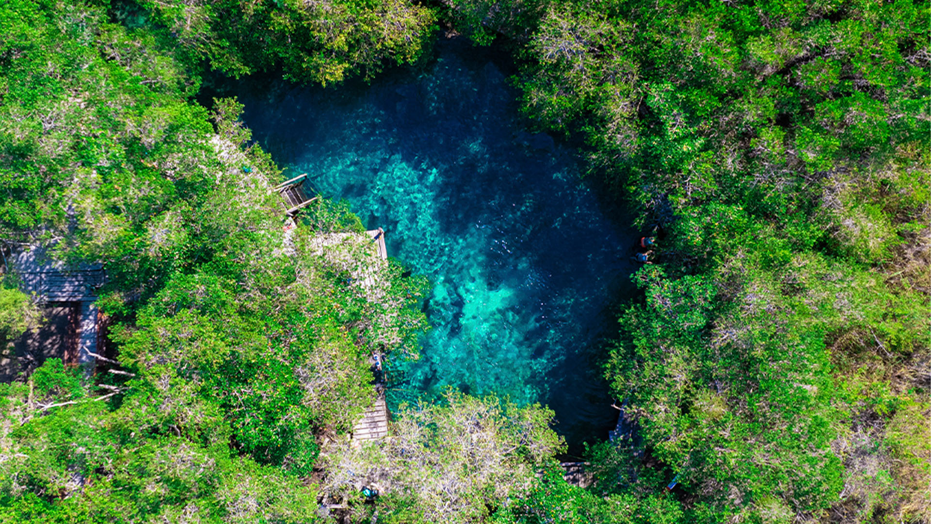 Holbox Island Adventure - Image 15