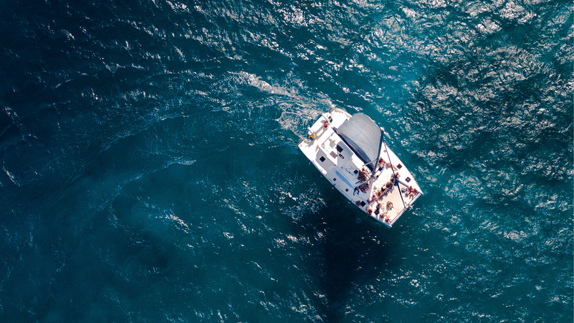 Isla Mujeres Luxury Sailing - Image 2