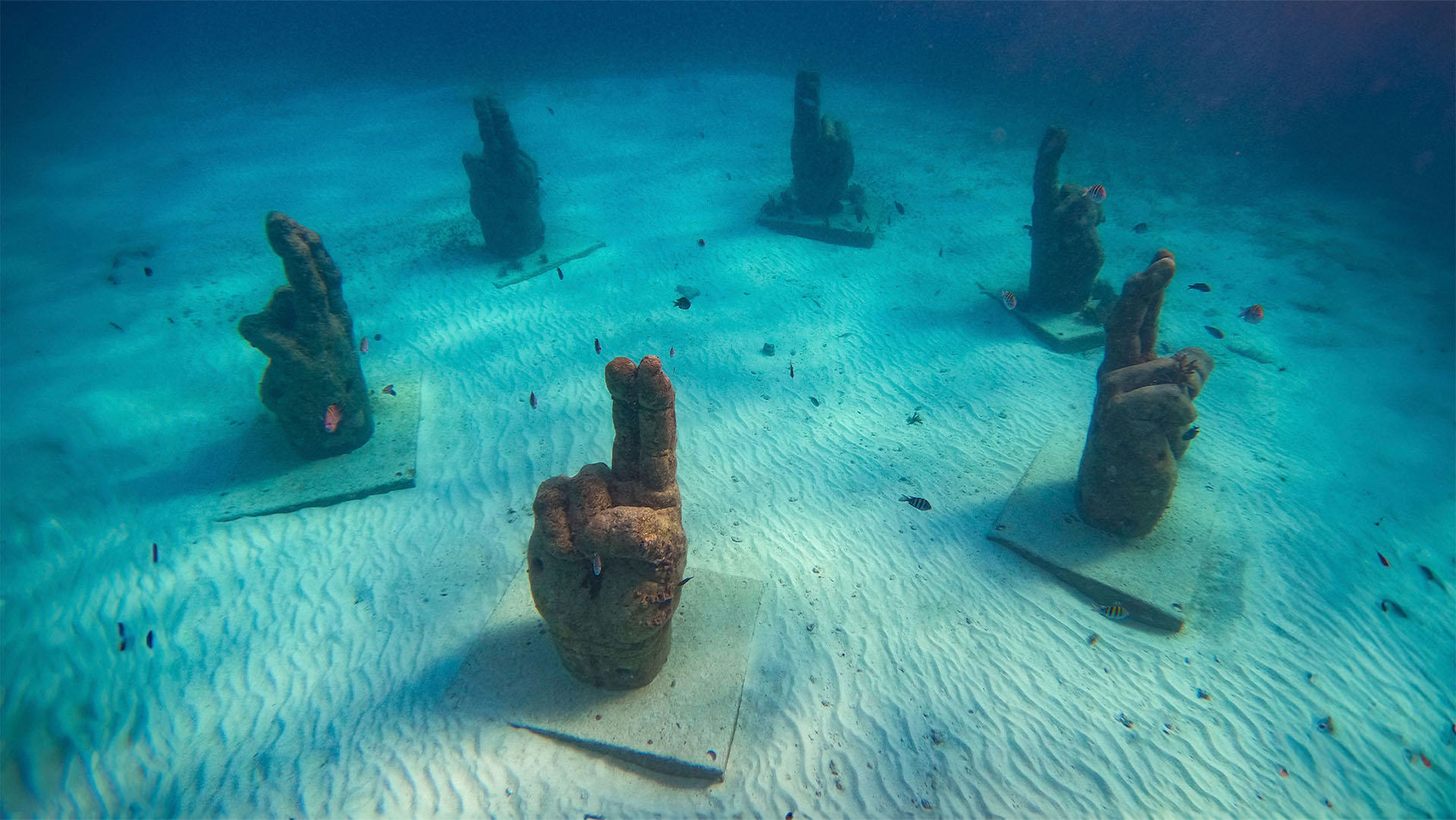 Isla Mujeres Luxury Sailing - Image 8