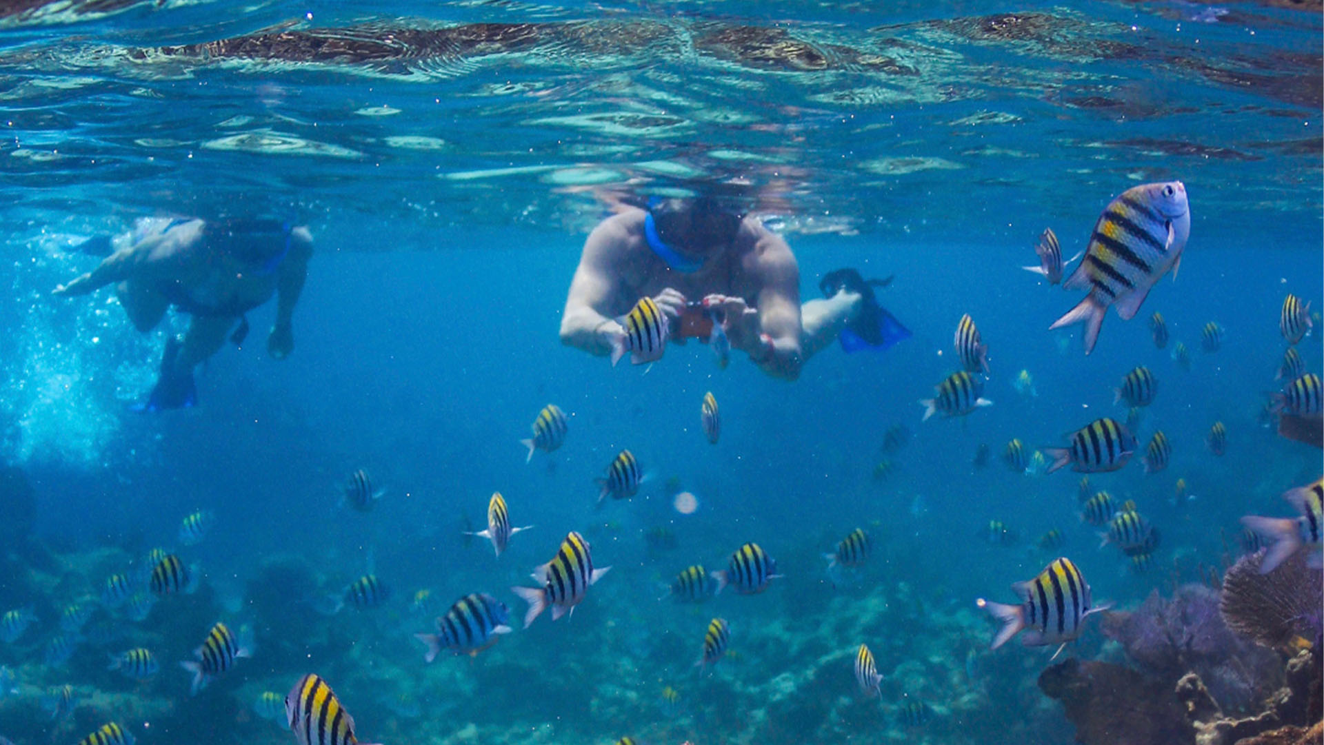 Luxury Sailing & Snorkeling - Image 4