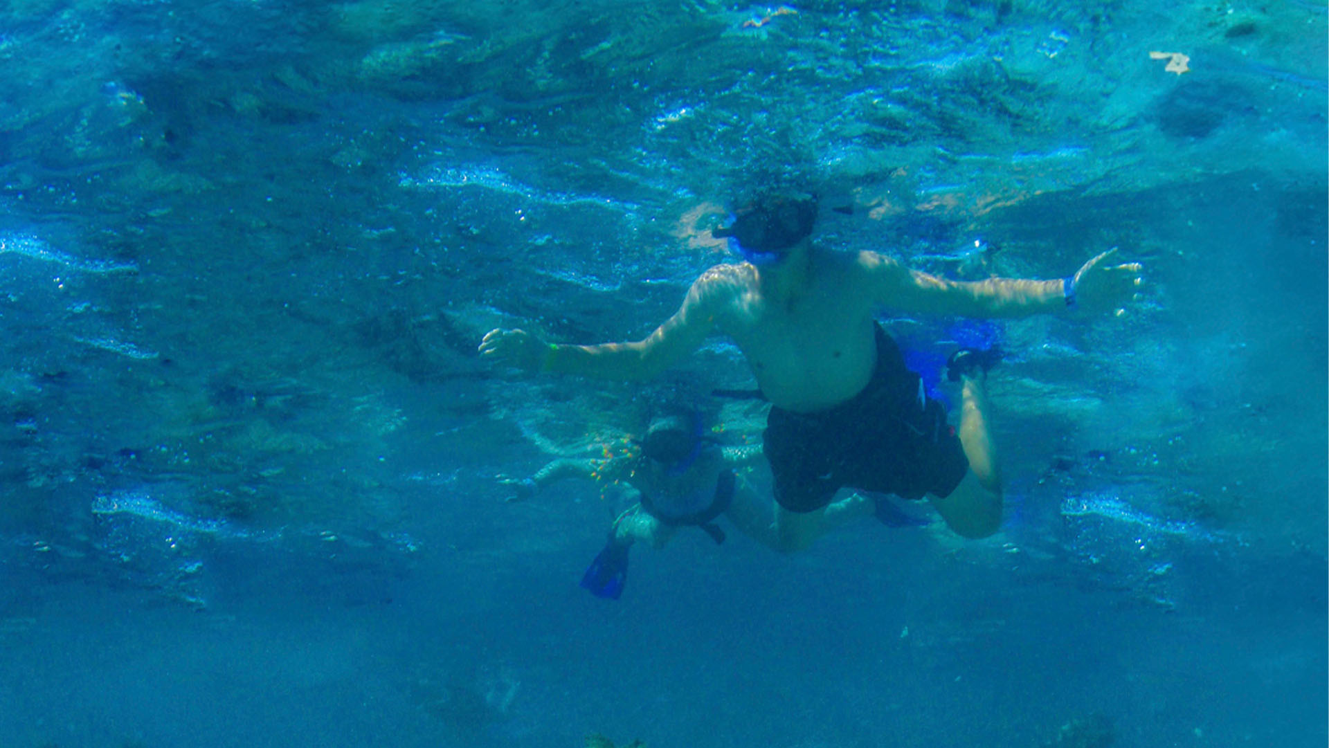 Luxury Sailing & Snorkeling - Image 3