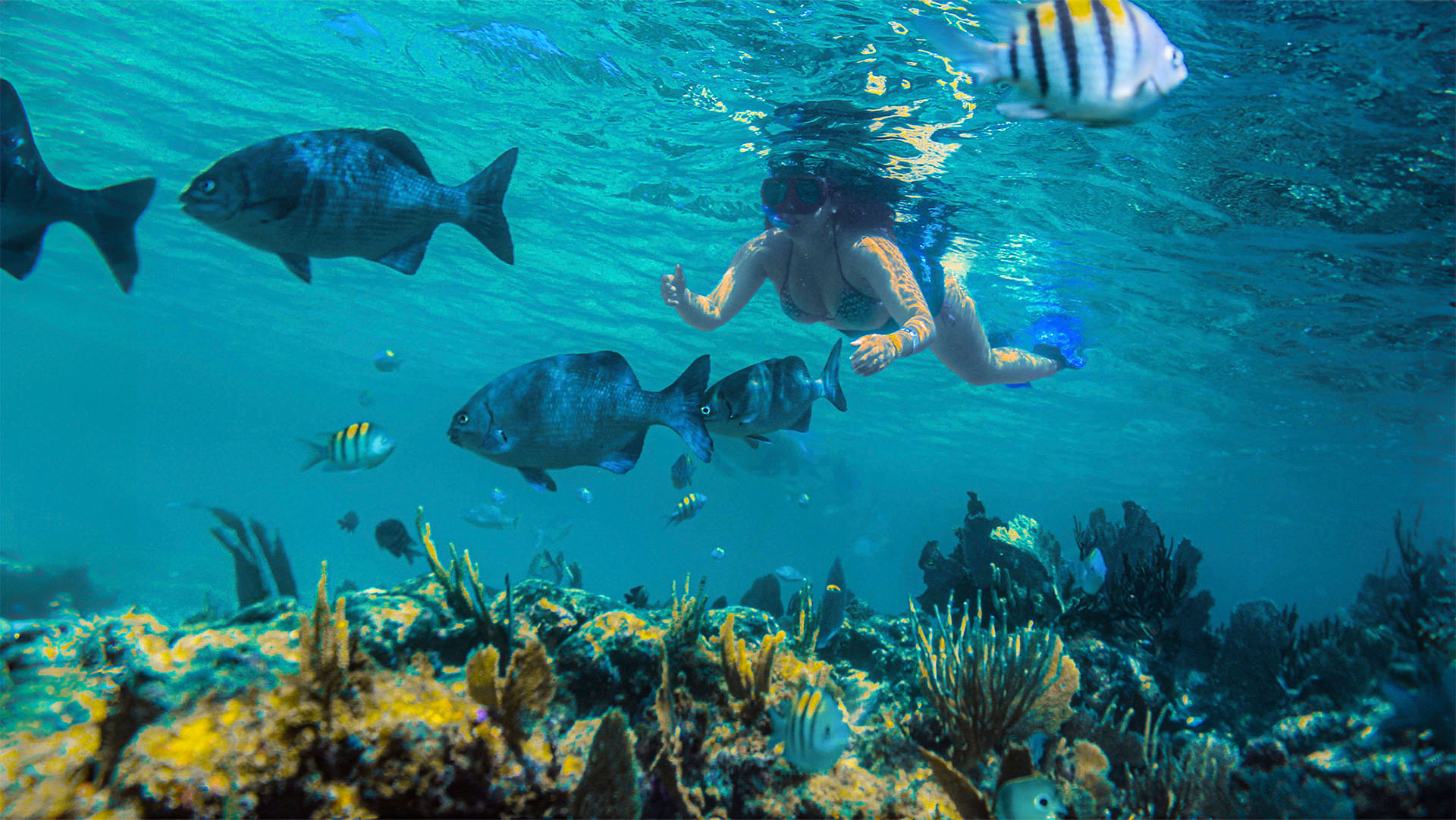 Luxury Sailing & Snorkeling - Image 2