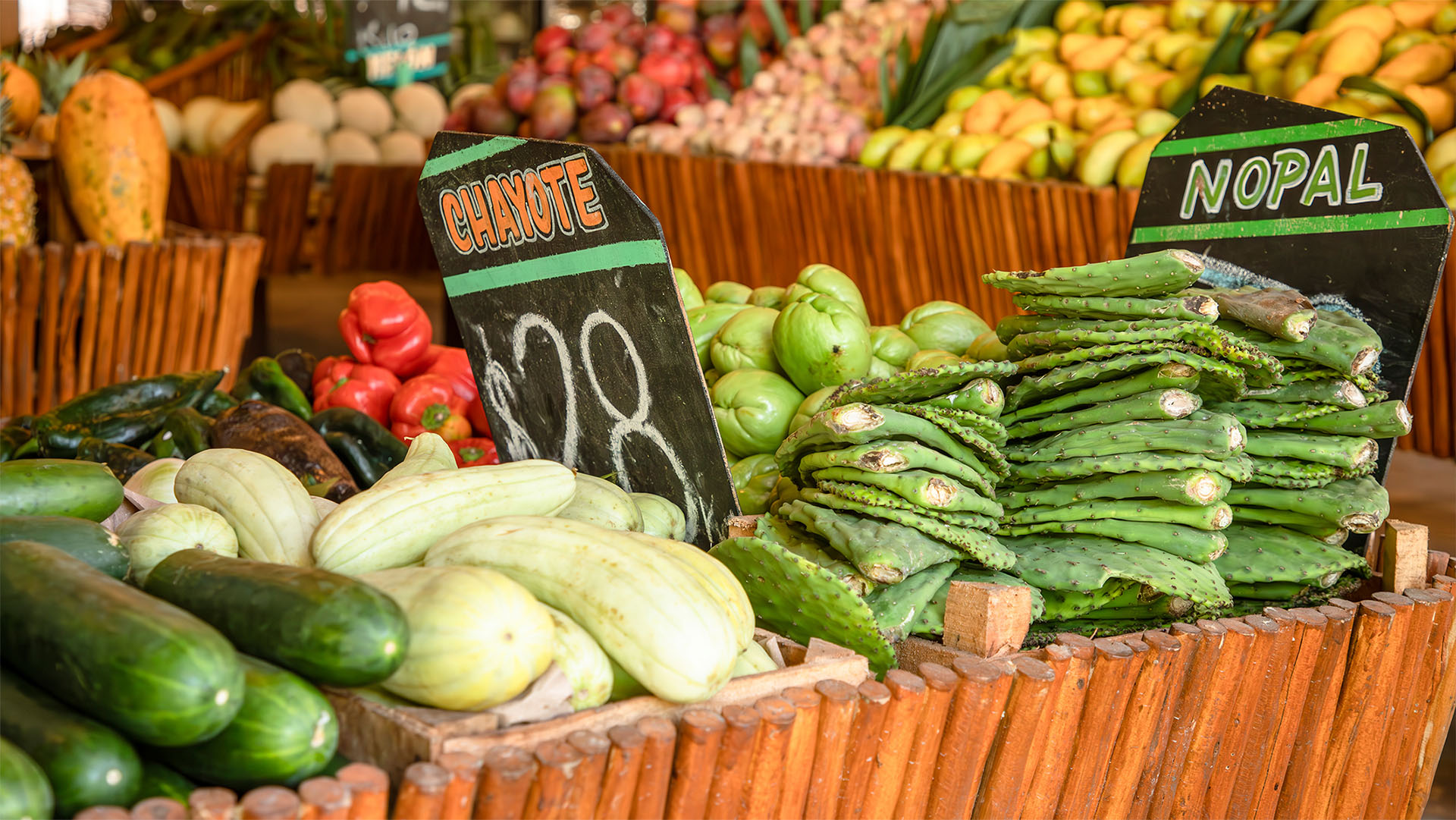 The Taco Tour (Riviera Maya) - Image 7