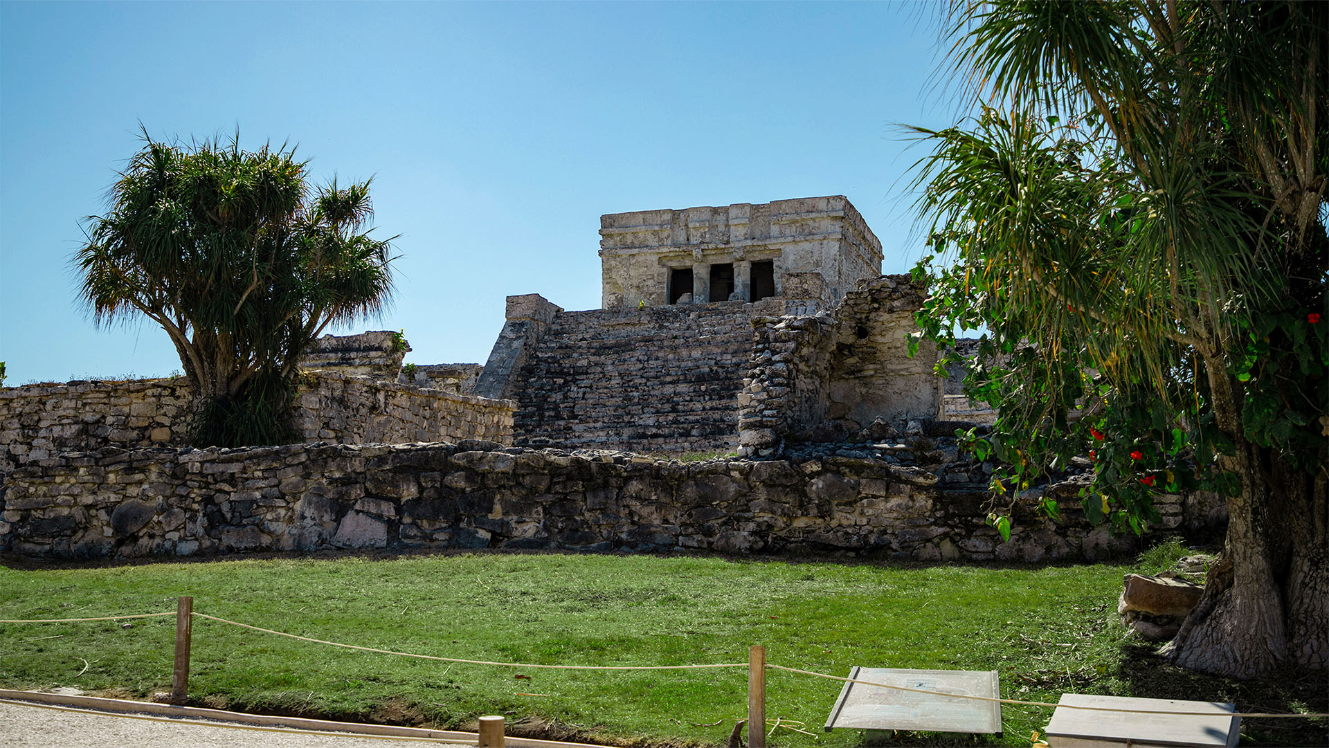Tulum, Turtles, Cenote & Beach Club - Image 7