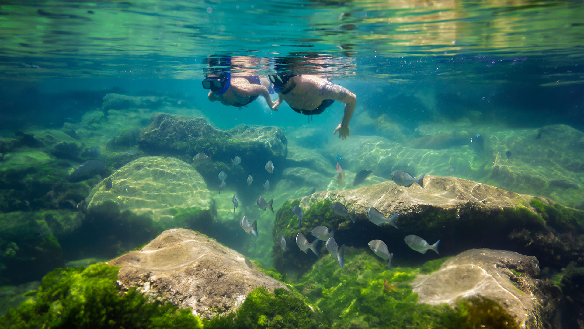 Tulum Yal–Kú Plus - Image 11