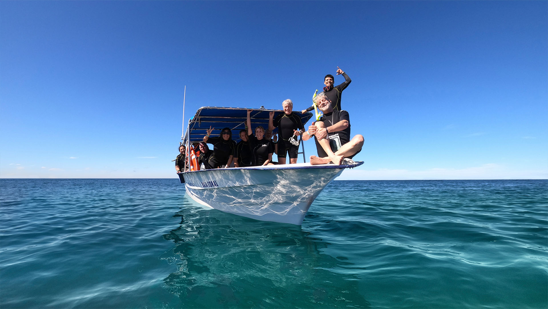 Whale Shark Experience - Image 6